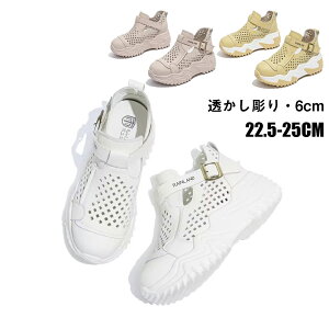 Xb| fB[X  T_   Xj[J[ L 6cmgAbv ʋCz fB[XV[Y T_Xb| Ȃ Ȃ Xbp z[Xbp 