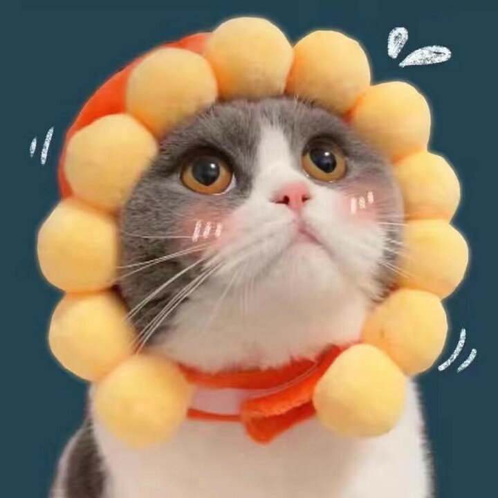 楽天市場 猫の変装アクセサリー キャットウェア ペットウェア 猫用品 面白い 動物 帽子 猫用 猫 ネコ 犬 ウサギ ほっかむり 映え 写真 被り物 かぶりもの かわいい 可愛い ペットグッズ ペット用品 アニマル アクセサリー 犬用 猫用 Shop Lively 楽天市場 猫の変装アクセサリー キャットウェア ペットウェア 猫用品 面白い 動物 帽子 猫用 猫 ネコ 犬 ウサギ ほっかむり 映え 写真 被り物 かぶりもの かわいい 可愛い ペットグッズ ペット用品 アニマル アクセサリー 犬用 猫用 Shop Lively