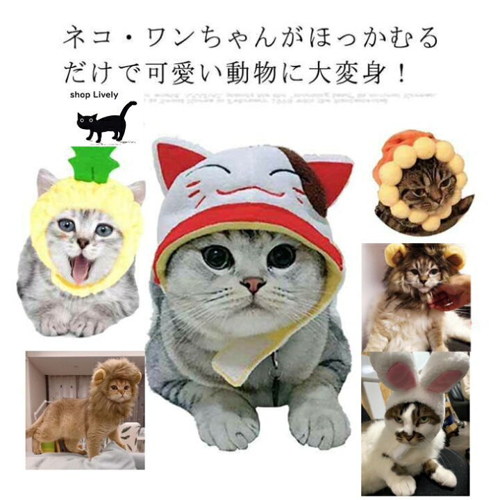 楽天市場 猫の変装アクセサリー キャットウェア ペットウェア 猫用品 面白い 動物 帽子 猫用 猫 ネコ 犬 ウサギ ほっかむり 映え 写真 被り物 かぶりもの かわいい 可愛い ペットグッズ ペット用品 アニマル アクセサリー 犬用 猫用 Shop Lively