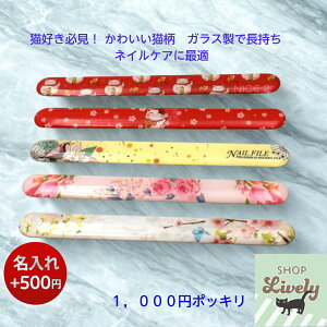 LDɐlCIy1000~|bL zL KX ܂₷ i{500~j MtgɂœK