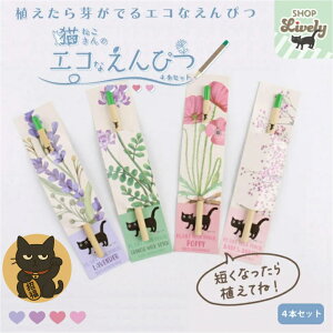 yubNtCf[@|Cg10{zyfBAځIzA鉔M@XvEgyV AԂ炭IL̃GR҂4{ZbgMtgɂlCbSDGsG݁Eav[