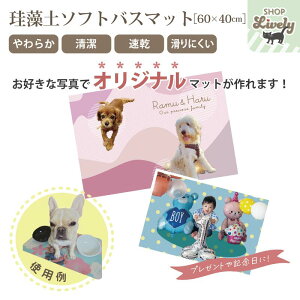 yZ~I[_[zDȎʐ^ŃIWi ]y\tgoX}bgmwiFS8nv[g₨X̐`ɍœKI@Mtg@v[g