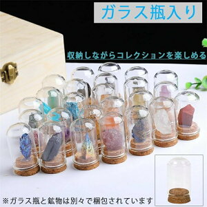 zΕW{ RNVZbgKXJo[ z zW{ ΕW{ VR 25 ho u W{{bNX e[u RNVrX}X nȊw i  ƋLOi LOi a