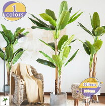 楽天市場】バナナの木（造花・人工観葉植物｜花・観葉植物）：花 
