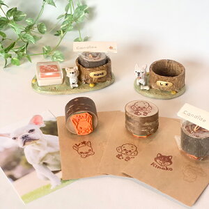 I[_[ybgG͂ iɂ+ H×X̏}O͂ Candide jIvVł͂񂱂ăZbg܂@yz