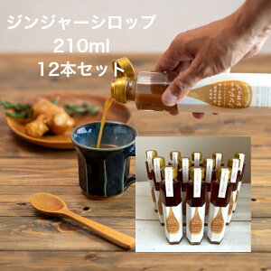 【送料無料】ジンジャーシロップ 210ml 12本セット