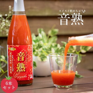  g}gH n 挧쒬Y 720ml 6{Zbg g}gW[X HY Yn Ċ Ƃ܂ƃW[X g}g Ƃ܂ 100% ʏ`100% ؃W[X v[