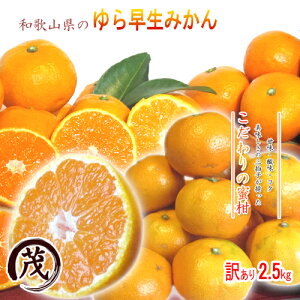 ݂ 󂠂 a̎R܂̋ɏ݂ 瑁 ݂ 2.5kgy22`33O TCYz ƒp  (ꕔn揜) ݂ LO B  Z W[V[