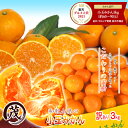 ★クーポン利用で100円OFF★ 当店人気の 小玉 みかん 3kg (約36〜54玉) みかん 訳あり 送料無料