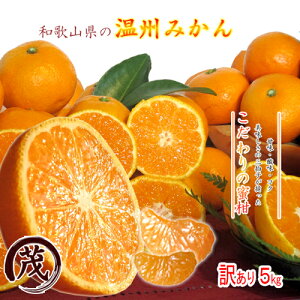 Uoׁ N[|p200~OFF!! ݂ 󂠂 a̎R  B݂ 5kg TCY  (ꕔn揜) Yn ƒp Â x W[V[ LO