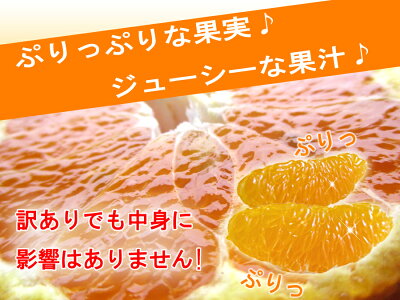 《ご予約》和歌山紀南の樹上熟成葉付きデコ(不知火)5kg(約18玉〜26玉)10kg(約36玉〜52玉)【送料無料】《訳あり》デコポンと同一品種ノーワックスご家庭用濃厚産直高糖度