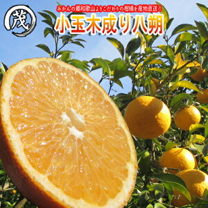 �a�̎R���́u���ʁv�ؐ��� �͂����� 2.5kg 5kg 10kg 15kg S�E2S�T�C�Y �y �������� �z�s �󂠂� �t �Â� ���k �ʕ� �t���[�c ���x �Y�n���� �݂���