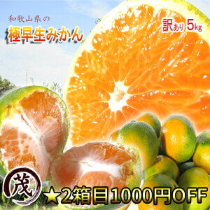 ★クーポン利用で200円OFF★ 訳ありみかん みかんの本場和歌山県の 極早生 温州 みかん 訳あり 5kg ※約45玉〜65玉入 サイズ混合 送料無料 (一部地域除く)