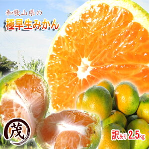 ݂ 󂠂 {a̎R ɑ B ݂ 󂠂 2.5kg 22ʁ`33ʓ TCY  (ꕔn揜)