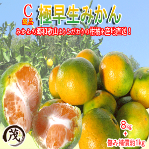★速攻出荷★クーポン利用で100円OFF! みかん 訳あり 《訳ありC級規格》 極早生 みかん 8kg (中身8kg+傷み補償約1kg) 約80-120個入 サイズ混合 送料無料 果物 和歌山 フルーツ