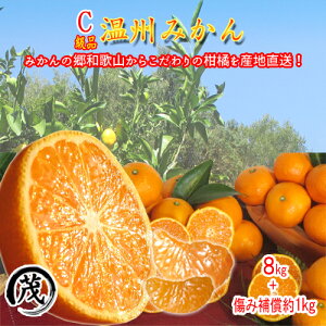 N[|p100~OFF! ݂ 󂠂 s󂠂CKit B ݂ 8kg (g8kg+ݕ⏞1kg) 80-120 TCY  ʕ  ɑ a̎R t[c