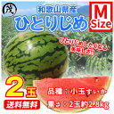 ★銀行振込・コンビニ振込不可★ 和歌山県紀南の 小玉すいか Mサイズ 2玉 約2.8kg （ ひとりじめ 等 ）【 送料無料 （北海道・沖縄除く）】