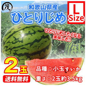 和歌山県紀南の 小玉すいか Lサイズ 2玉 約3.5kg （ ひとりじめ 等 ）【 送料無料 （北海道・沖縄除く）】