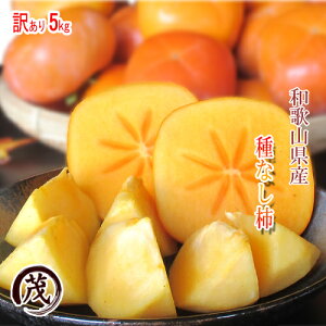 ` 󂠂  a̎RY Ȃ` 5kg TCY (S`3LTCY) 20`30 ʕ a̎R t[c x Yn Z Â j` ` a`