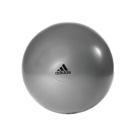 adidas アディダス ジムボール グレー 55cm トレーニングギア ADBL11246GR ダイエット 宅トレ バランスボール