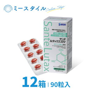 �y���������z �T���e���^�b�N�X20V 90�� 12�� �i��12�������j