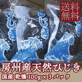 【送料無料】 房州産 乾燥 ひじき 100g 3パック セット 千葉県 名産【東安房漁業協同組合】