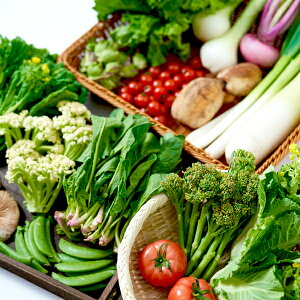 【送料無料】道の駅厳選採れたて新鮮野菜セット10品目以上詰め合わせ【富楽里とみやま】