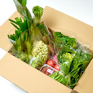 【送料無料】道の駅厳選採れたて新鮮野菜セット10品目以上詰め合わせ【富楽里とみやま】