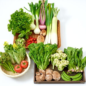 【送料無料】道の駅厳選採れたて新鮮野菜セット10品目以上詰め合わせ【富楽里とみやま】
