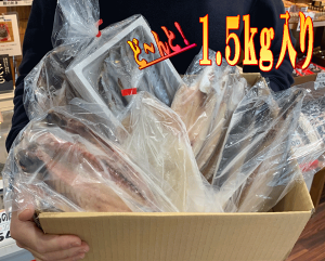 【送料無料】国内加工訳あり干物セットたっぷり1.5kgお買い得【ハクダイ食品】