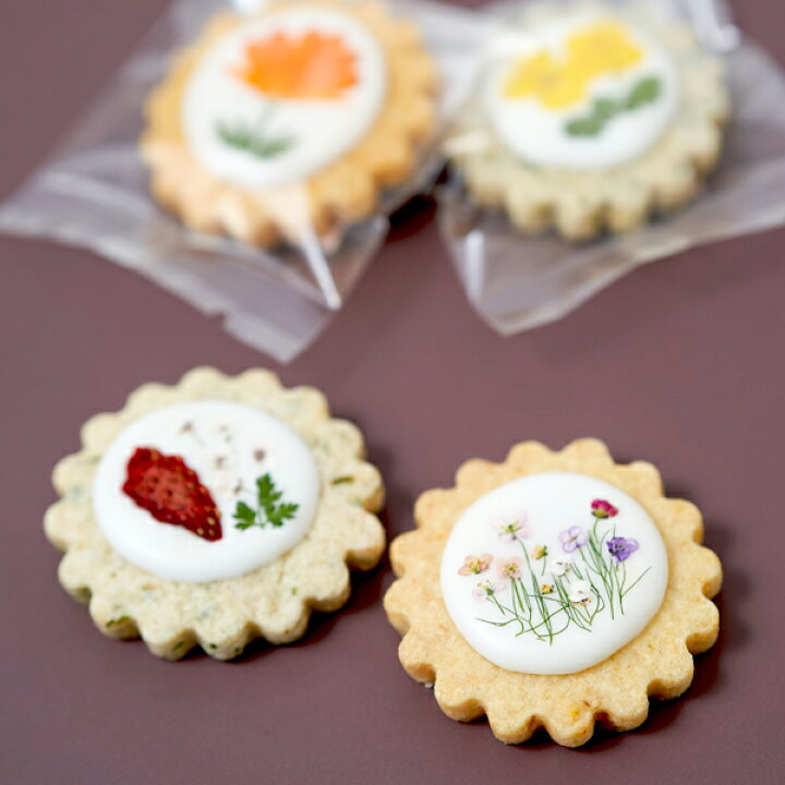 楽天市場 送料無料 南房総 まるごとクッキー 15個入 カレンデュラ 菜の花 落花生 焼き菓子 洋菓子 クッキー スイーツ かわいい 花菓子petal 南房総アンテナショップ