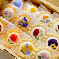 【送料無料】 南房総 まるごとクッキー 12個入 カレンデュラ 菜の花 落花生 焼き菓子 洋菓子 クッキー ス…