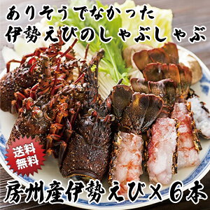 【送料無料】房州産天然伊勢海老しゃぶしゃぶセットギフト贈り物【与助丸】