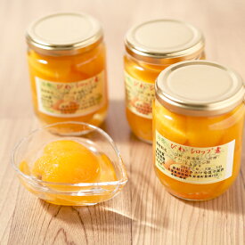 《賞味期限7月31日☆43％OFF》【送料無料】びわシロップ煮140g小3個セット 瓶 房州びわ コンポート 製菓材料