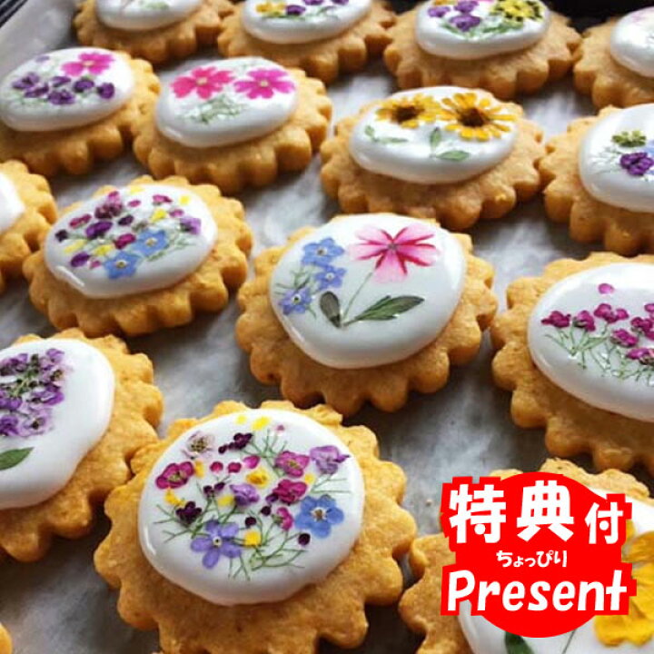 楽天市場 送料無料 プレゼント付 南房総 まるごとクッキー 15個入 カレンデュラ 菜の花 落花生 焼き菓子 洋菓子 クッキー スイーツ かわいい 花菓子petal 南房総アンテナショップ