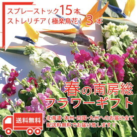 楽天市場 極楽鳥花の通販