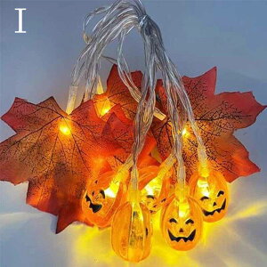 nEB J{` \[[ 6.5m 30 8ޓ_Ńp^[  LEDC~l[V 胉Cg Cg ledCg p[eB ~ Ղ͋̕C \[[Cg K[fCg 