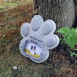 y|Cg 5{UP !zybg ybg ybgAObY    ybg dʐ^  O ybĝ  ybgW ybg{ d ~j ʔv ^ LO΃ybg