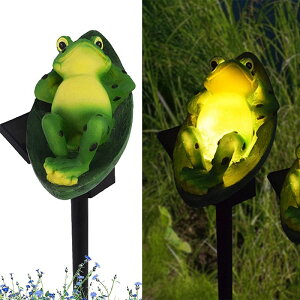 y|Cg 5{UP !z2{Zbg \[[Cg LED@OK[ffR[VCg ^ JG ߍ݃Cg C~l[VCg \[[plt ɂ₳ ȃGl h 