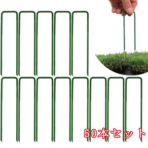 y|Cg 5{UP !z50{Zbg lH hV[gŒs s UsY lH s 3*15cm h V[gs Us