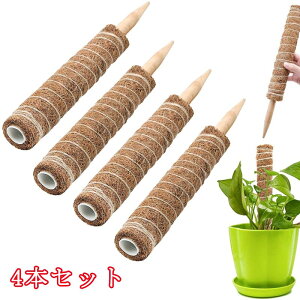 y|Cg 5{UP !z4{Zbg |x ϗtAXe x 30cm Ax |xp[c ϗtA RRibcx K[fjOpx AT|[g t[X^h Ԏx 