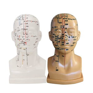 y|Cg 5{UP !zI͌^ 20cm () Io͌^ l̖͌^ l̕W{ l̃f o͌^ ol` l ͌^  c{ }bT[W   ̉@ I@