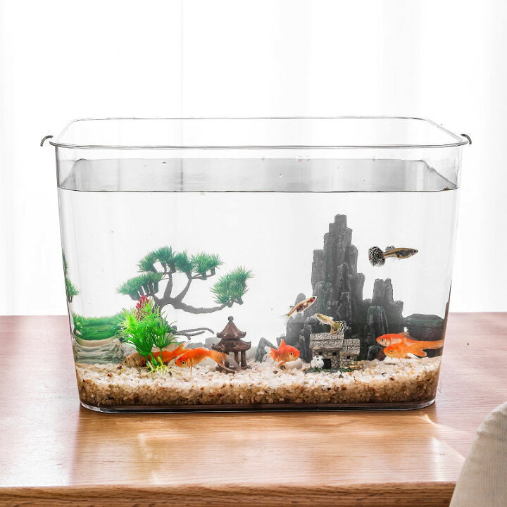 楽天市場】金魚 水槽 アクリル 金魚鉢 プラスチック 透明 メダカの水槽 