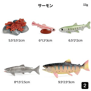 TP̐TCN͌^ TP̐ߒ~j`A͌^ TP̈ꐶ mߋ ̃CtTCN T[ A͌^  qwKߋ u   ct wZ Ȋw 