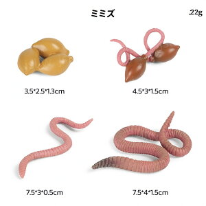 ~~Y̐TCN͌^ ~~Y̐ߒ~j`A͌^ ~~Ÿꐶ mߋ ~~ỸCtTCN A͌^  qwKߋ u   ct wZ Ȋw