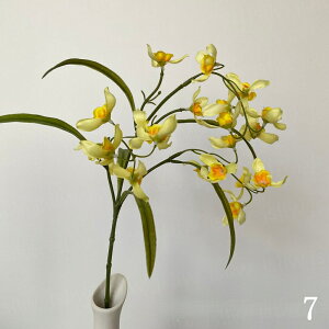    2{ ԃ j  䋟 d  A[gt[ A[eBtBVt[ ϗtA JXj v[g CeA JƏj ̓  tFCNO