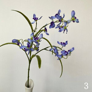    2{ ԃ j  䋟 d  A[gt[ A[eBtBVt[ ϗtA JXj v[g CeA JƏj ̓  tFCNO