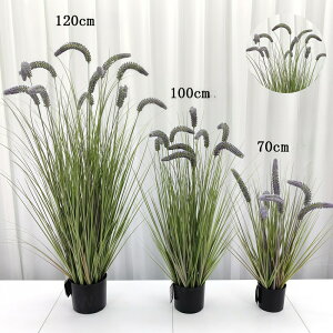 tFCNO[ GmROT 2Zbg 3F lRWV ^ CeA lHϗtA  L炵 t  C~e[V DIY lHt[ a a_ ؒ ̊ 