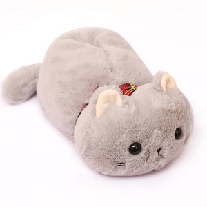 eBbVP[X L ʂ eBbVJo[ eBbV{bNX ݂艺  ˂ ӂӂ 킢