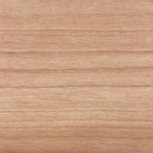 Jo  ˔e[v ̂t˔e[v VR؃e[v VRؖ،e[v ،e[v ،dグe[v ˔،e[v ˔σe[v ؍Hpe[v ƋCe[v 24mm 35mm 42mm×50m DIY 